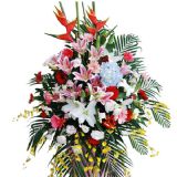 Тʻٵ