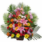 Тʻٵ