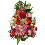 Тʻٵ